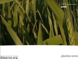 Sites similar to arpov.org.ar