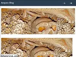 Sites similar to arqueoblog.com