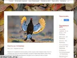Sites similar to arsenalohotnik.ru