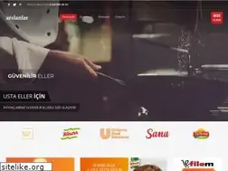 Sites similar to arslanlargida.com.tr