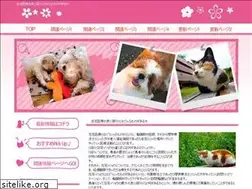 Sites similar to artclub1563.com