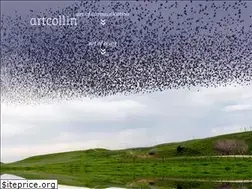 Sites similar to artcollin.de