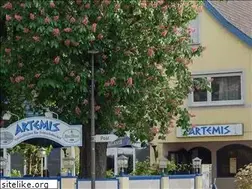 Sites similar to artemis-lichtenau.de