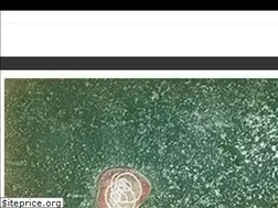Sites similar to artepremium.cl