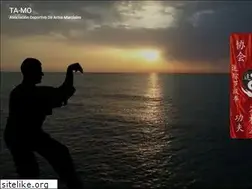 Sites similar to artesmarciales.org