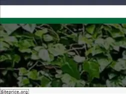 Sites similar to artificialgrassne.co.uk