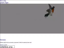 Sites similar to artista.tv