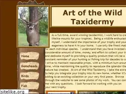 Sites similar to artofthewildtaxidermy.com