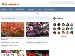 Sites similar to artpro100.ru