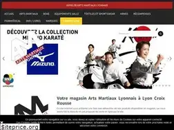 Sites similar to artsmartiaux-lyon.com