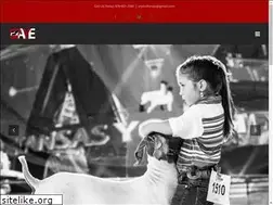 Sites similar to aryouthexpo.com