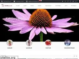 Sites similar to arzumcicekcilik.com