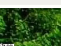 Sites similar to arzuprema.com