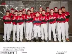 Sites similar to asahibaseball.com