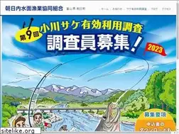 Sites similar to asahinaisuimen.jp