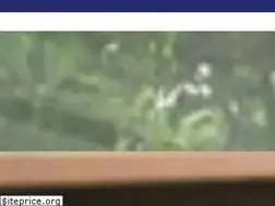 Sites similar to ascensorescambridge.cl