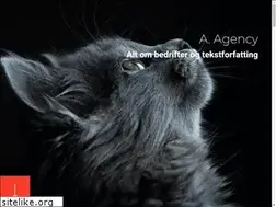 Sites similar to aschehougagency.no