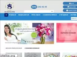 Sites similar to ascicek.com