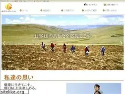 Sites similar to ashita-corp.com