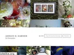 Sites similar to ashleyggarner.com