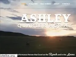 Sites similar to ashleyquarterhorses.com