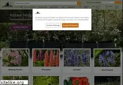 Sites similar to ashridgetrees.co.uk