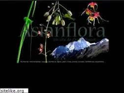 Sites similar to asianflora.com