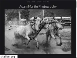 Sites similar to asianimages-adammartin.com