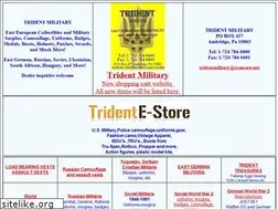 Sites similar to asiansoldier.com