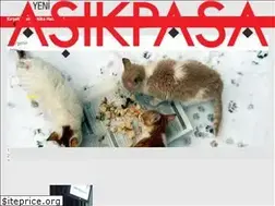 Sites similar to asikpasagazetesi.com