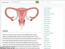 Sites similar to asilama.gen.tr