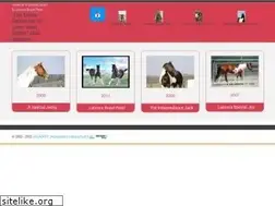 Sites similar to asjacky.de