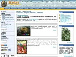 Sites similar to asmat.cz