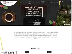 Sites similar to asoexport.org