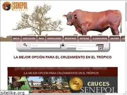 Sites similar to asosenepolcolombia.com
