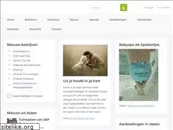 Sites similar to assenonderneemt.nl