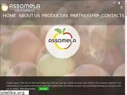 Sites similar to assomela.it