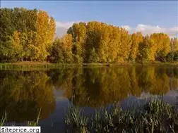 Sites similar to astravolga.ru