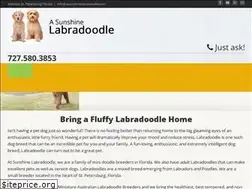 Sites similar to asunshinelabradoodle.com