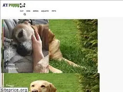 Sites similar to at-puppy.com