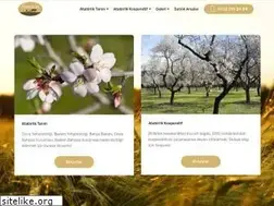Sites similar to atabirlik.com