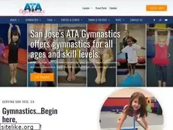 Sites similar to atagymnastics.com