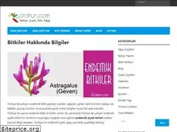Sites similar to atahun.com