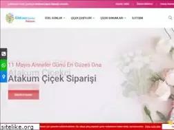 Sites similar to atakumcicek.com