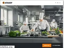 Sites similar to atasoygroup.com