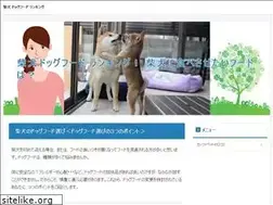 Sites similar to atempo-web.com