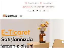 Sites similar to ateslerkoli.com