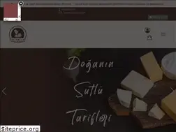 Sites similar to atesoglusut.com