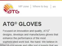Sites similar to atg-glovesolutions.com