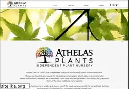 Sites similar to athelasplants.co.uk